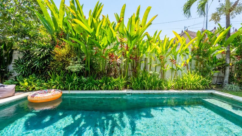 1760992128 Jungle Amaranth 3565