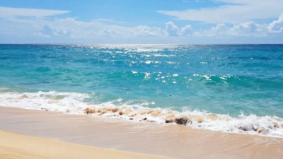 Canggu Weather Forecast by Month: Best Time to Visit